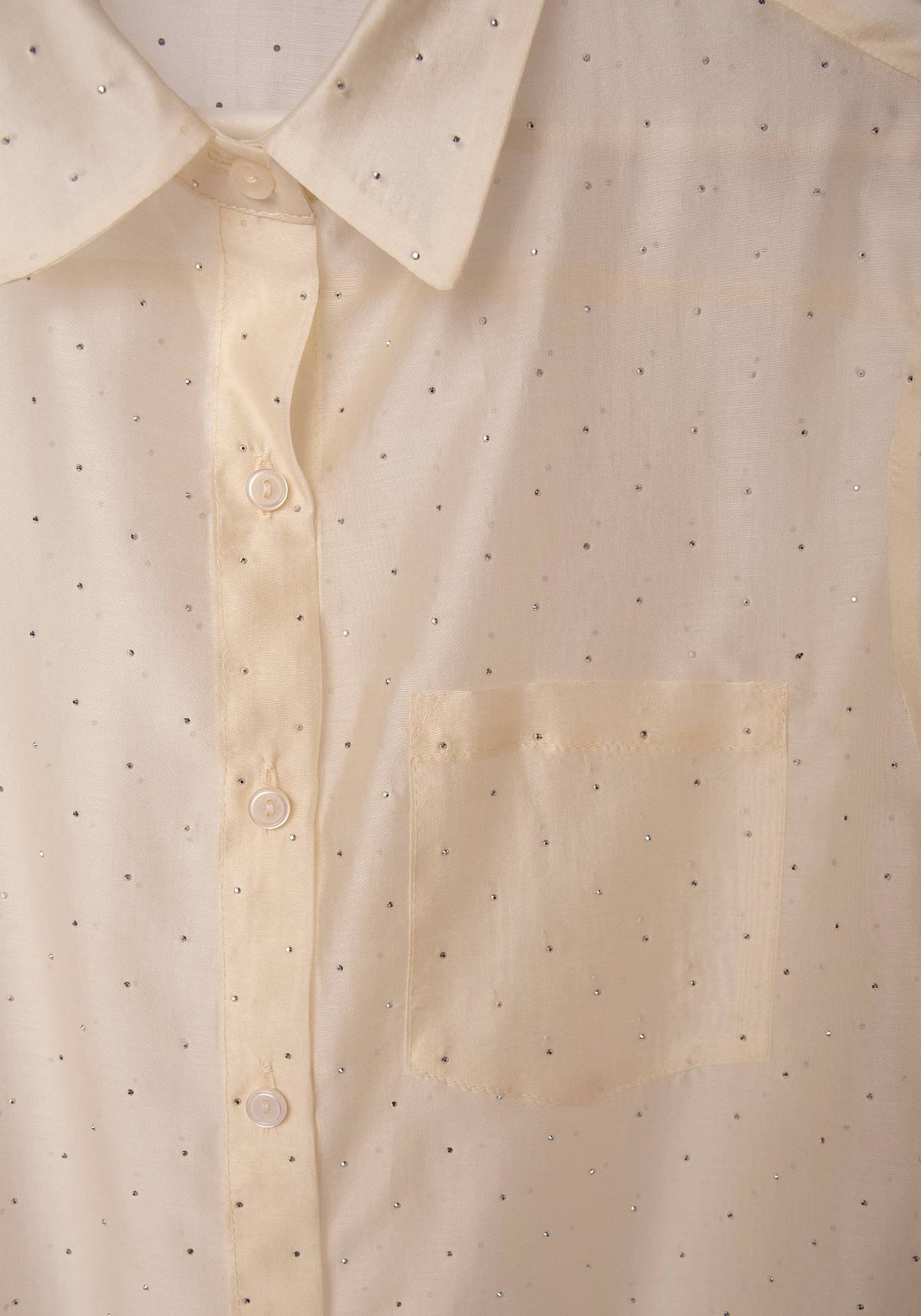 Sheer Glow Embellished Shirt in Ecru