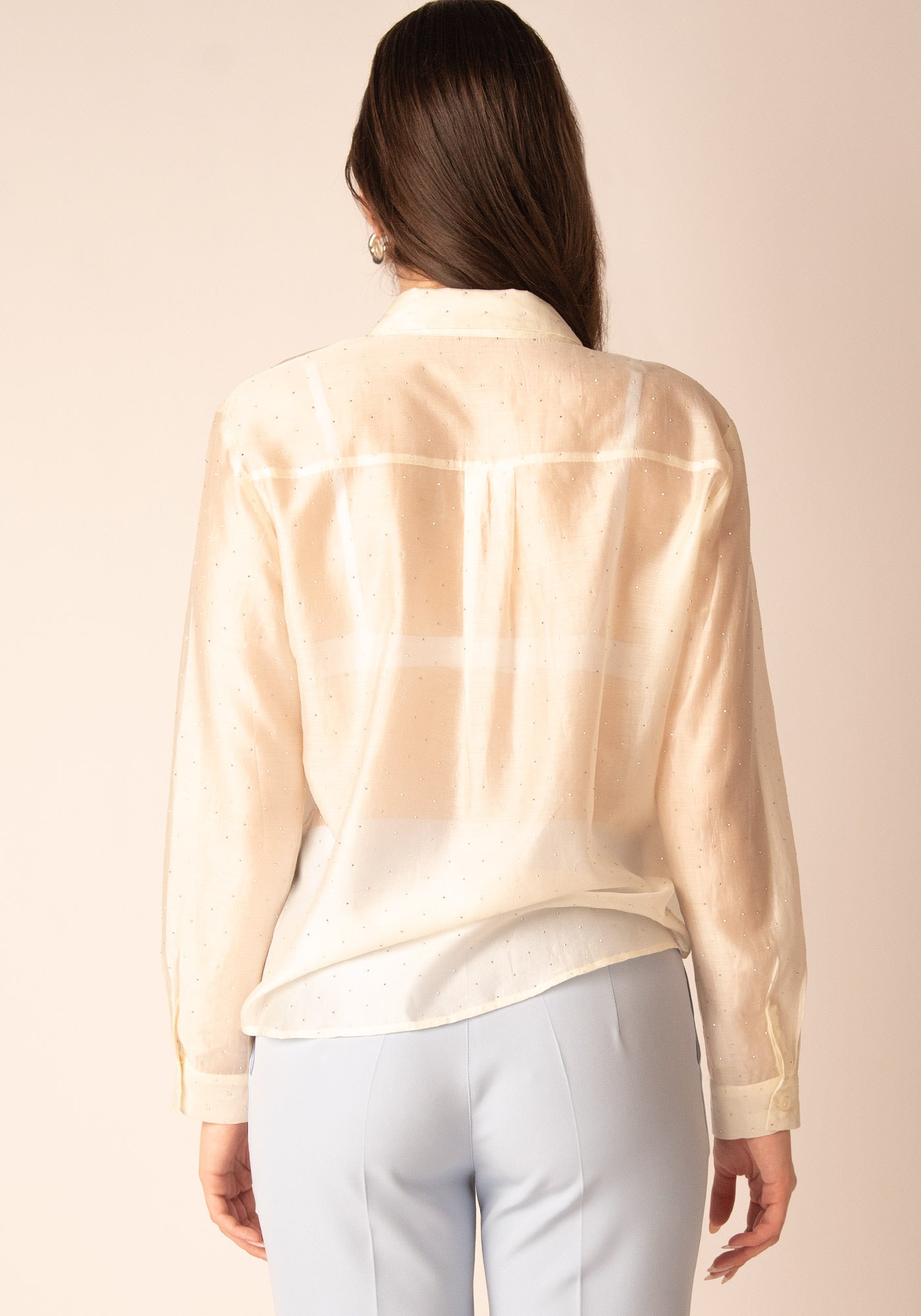 Sheer Glow Embellished Shirt in Ecru